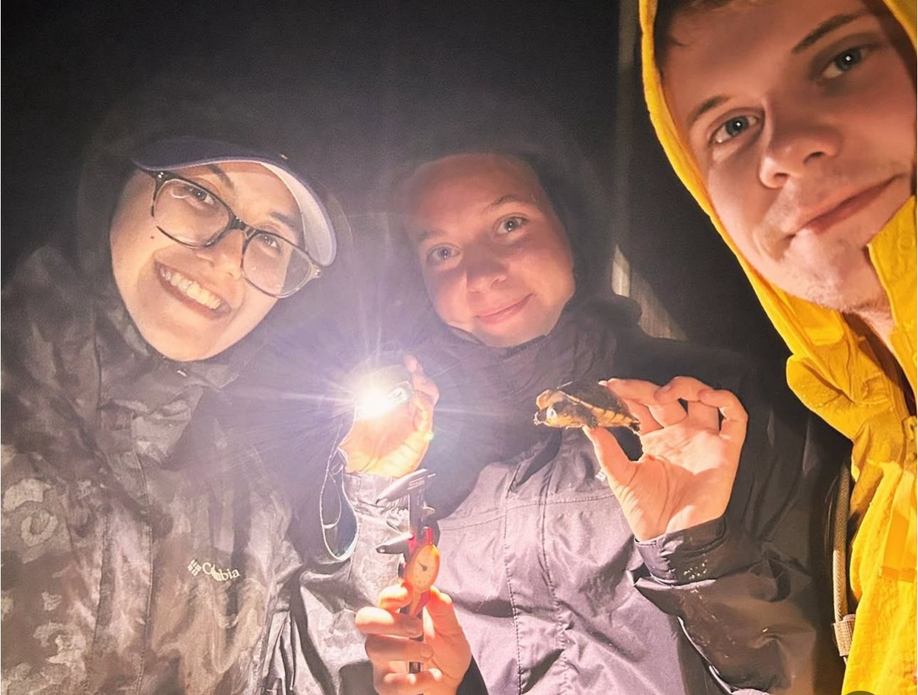 Image gallery marquee