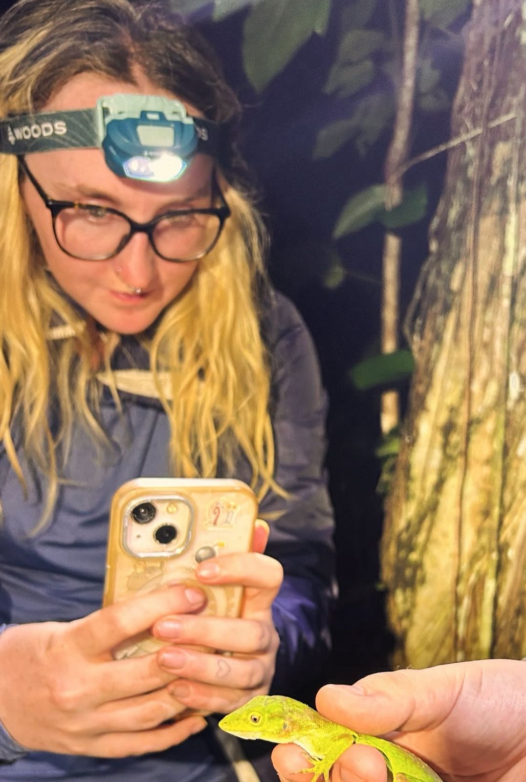 Image gallery marquee